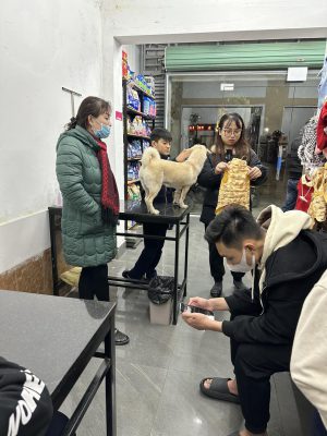 Khách hàng tại Bệnh viện thú ý SHIBA
