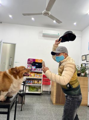 trải nghiệm của khách hàng