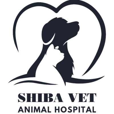 logo shibavet5