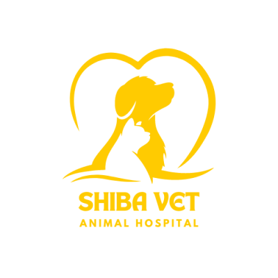 shiba vet (1)