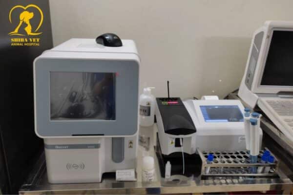 Trang thiết bị tại Bệnh viện thú y ở Vinh