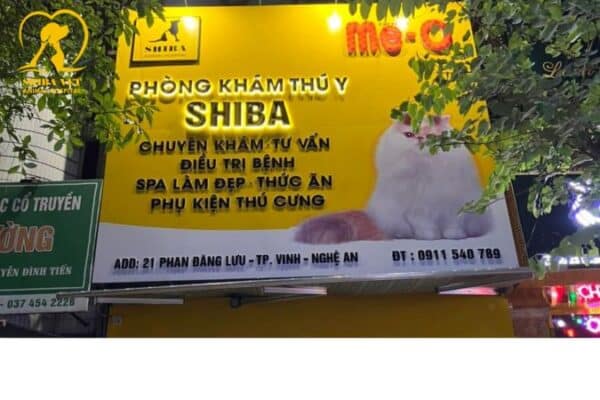 Bệnh viện thú y ở Vinh uy tín
