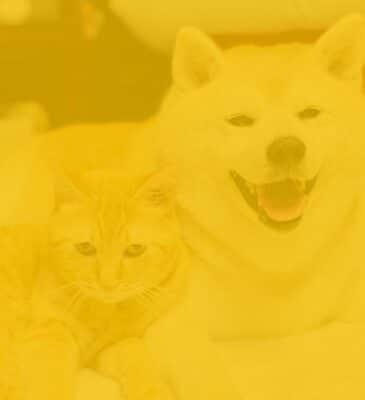 bg2